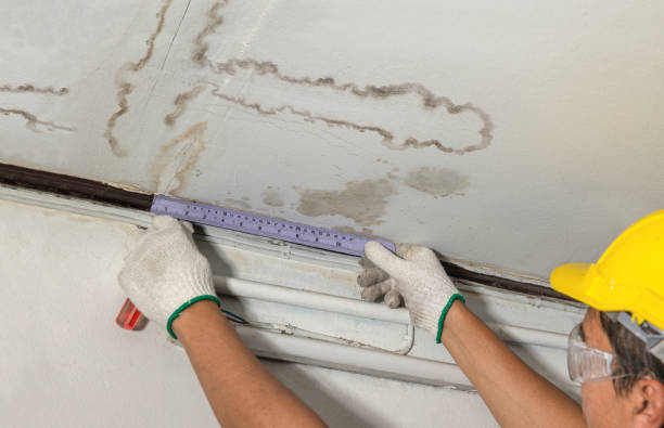 Reliable Water Damage contractor in New Milford, NJ by Water Damage Irwin